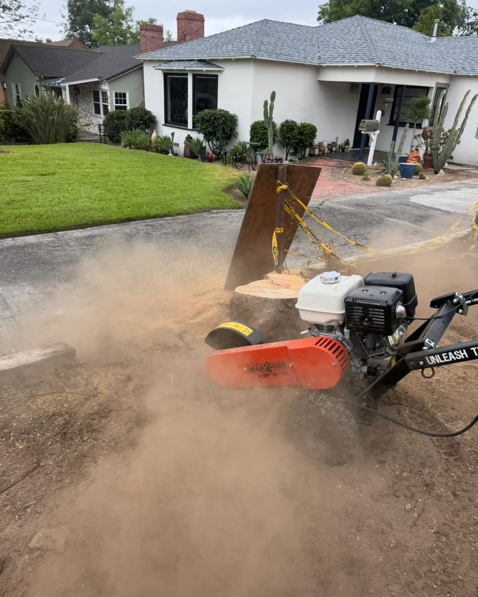 Stump removal projects