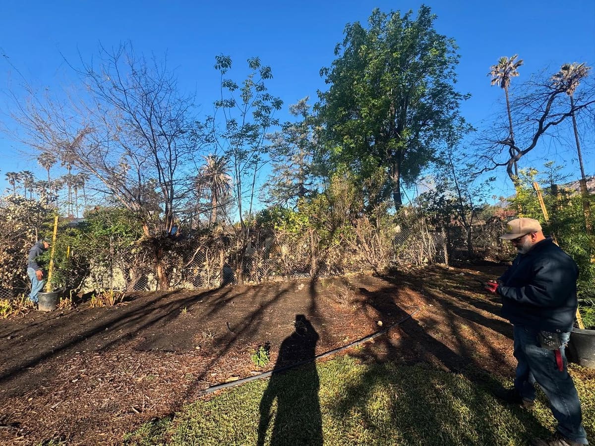 Leones crew clearing and mulching a backyard